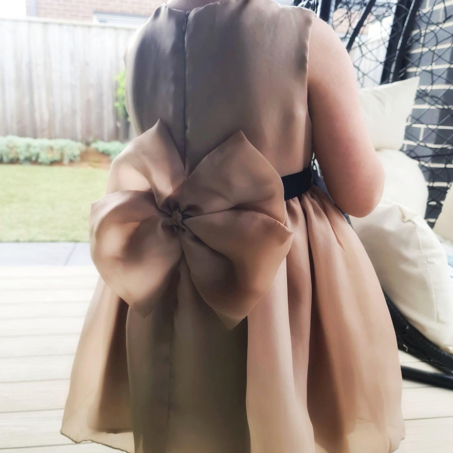 Beige Organza Dress