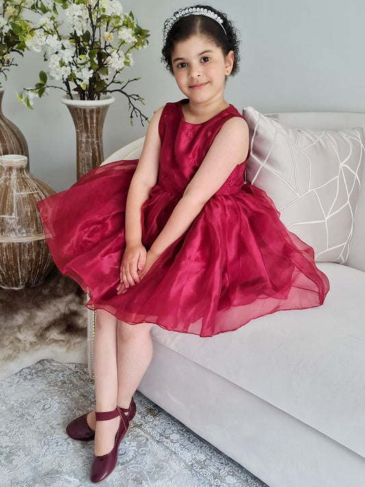 Burgundy Organza Girls Dress