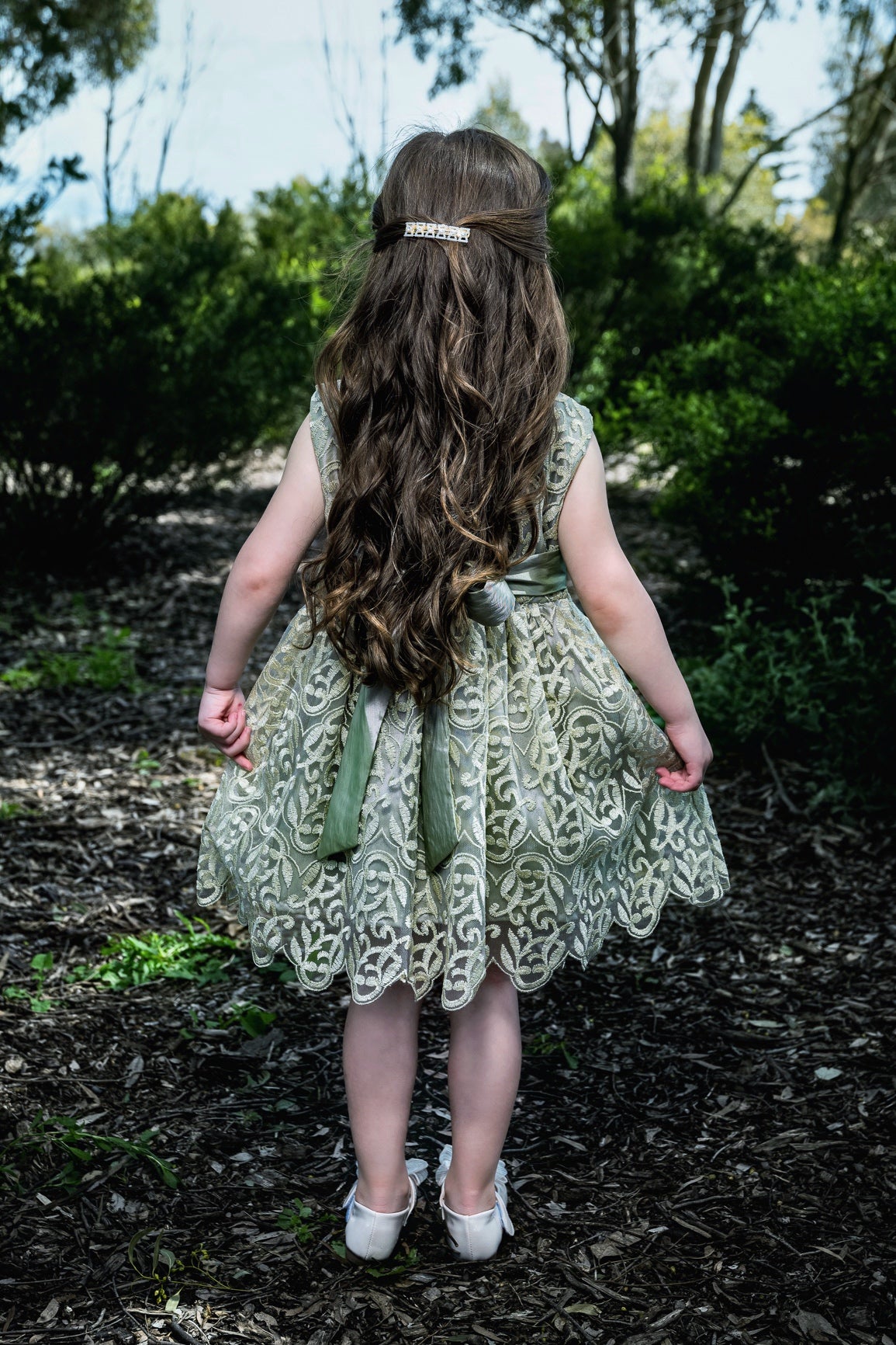 Fancy Net And Silk Dress