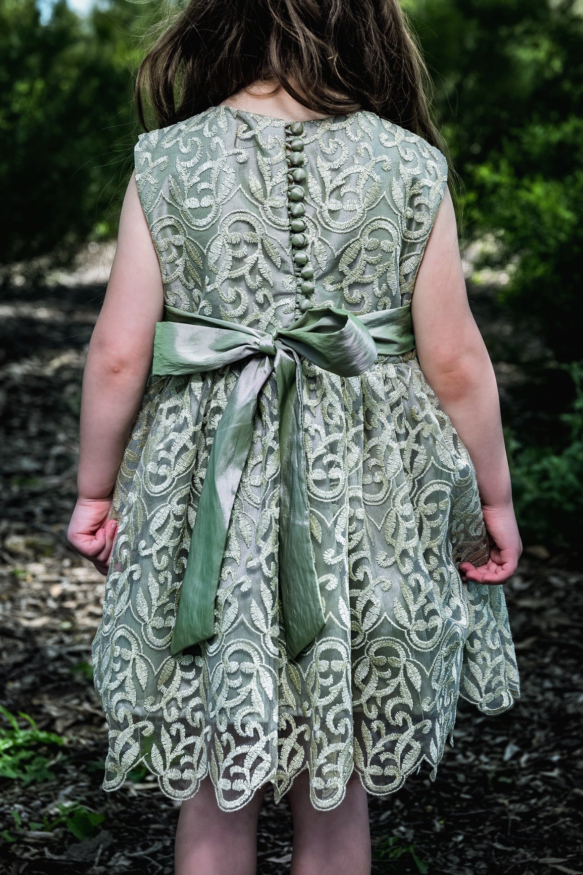Fancy Net And Silk Dress
