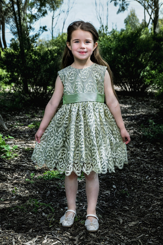 Fancy Net And Silk Dress