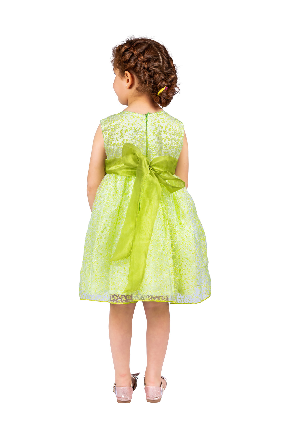 Green Organza Dress