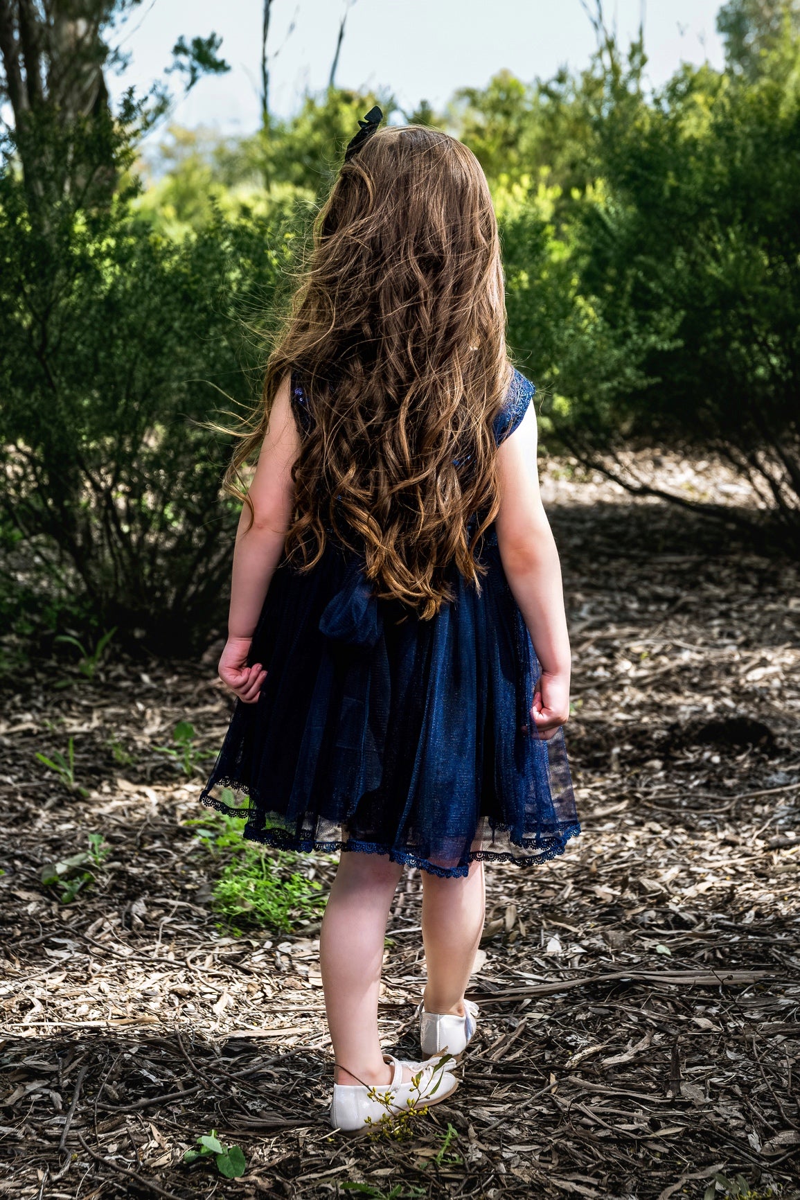 Embroidered Blue Dress