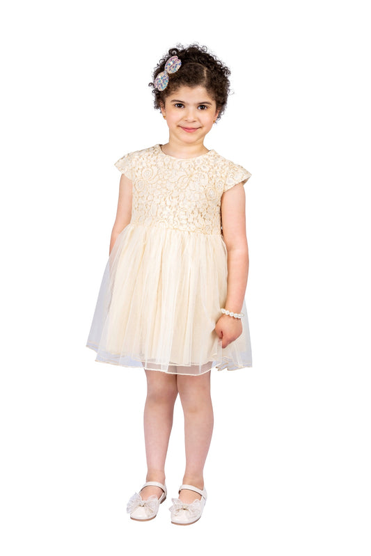 Cream Colour Tulle Girl Dress