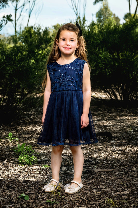 Embroidered Blue Dress