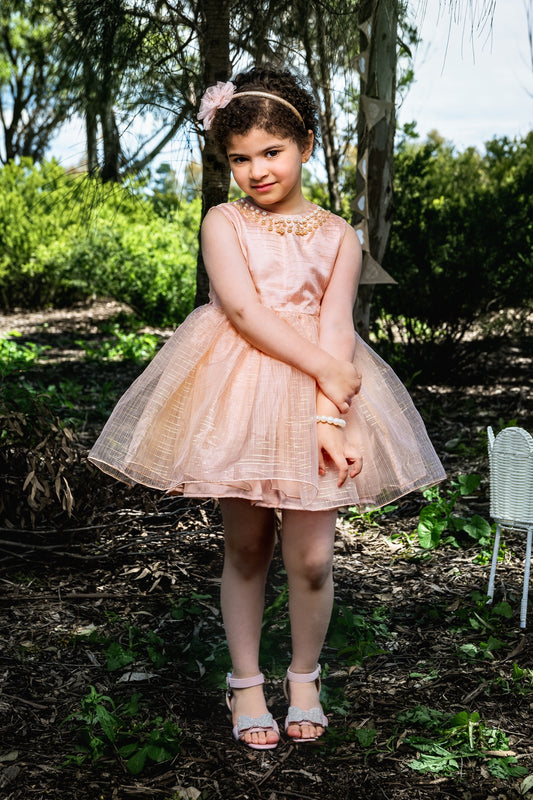 Pink  Organza Formal Dress