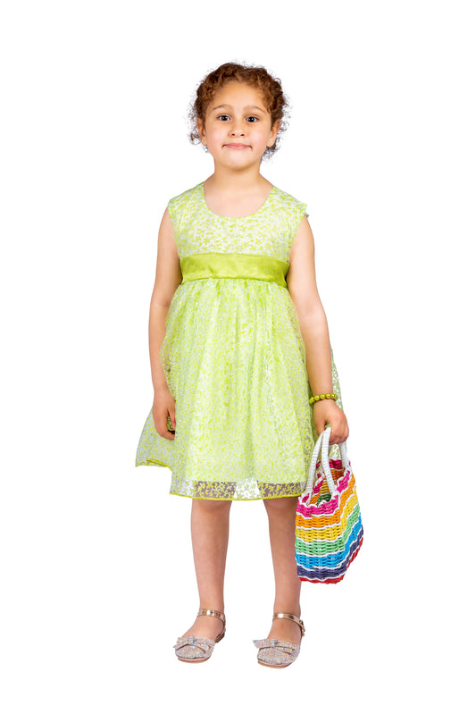 Green Organza Dress